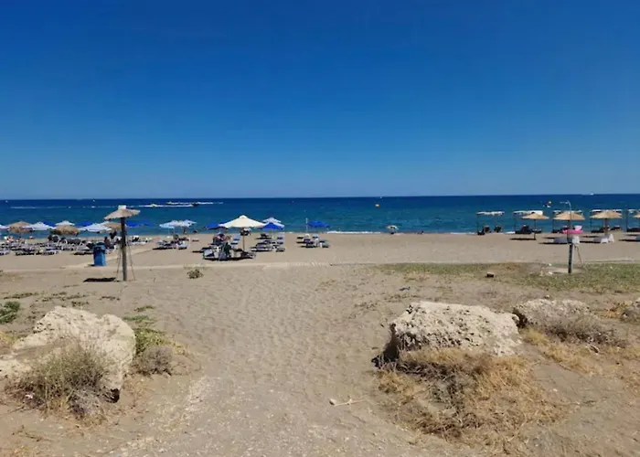 Marco Beach Tiny House